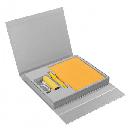 Коробка Status под ежедневник, аккумулятор и ручку, серебристая