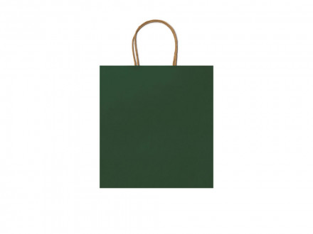 Пакет бумажный HAYA, папоротник