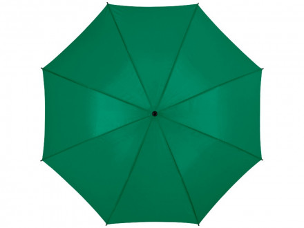 Зонт Barry 23 полуавтоматический, зеленый