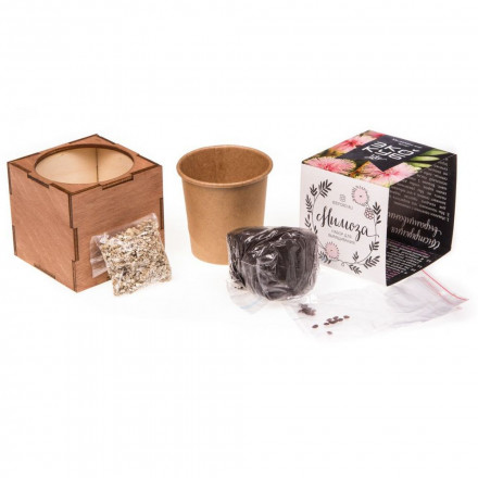 Набор для выращивания «Экокуб Lite», мимоза