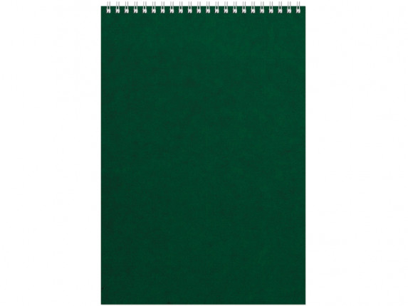 Бизнес - блокнот Альт А4 (198 х 285 мм) Office 60 л., зеленый