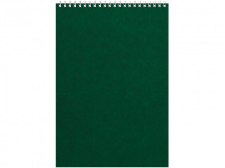 Бизнес - блокнот Альт А4 (198 х 285 мм) Office 60 л., зеленый