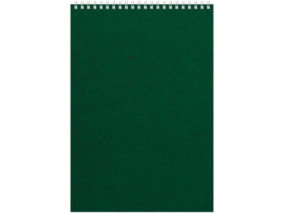 Бизнес - блокнот Альт А4 (198 х 285 мм) Office 60 л., зеленый