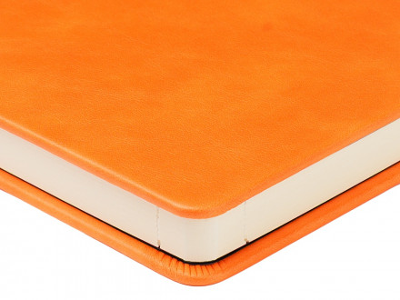 Ежедневник недатированный А5 Premier, оранжевый