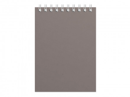 Бизнес - блокнот Альт А6 (94 х 130 мм) Office 60 л., серый