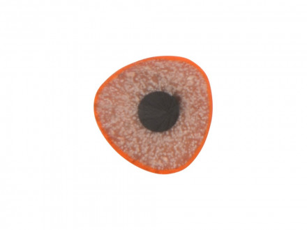 Трехгранный карандаш Conti из переработанных контейнеров, оранжевый