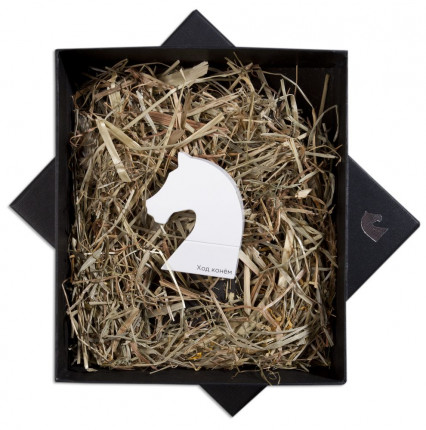 Флешка «Ход конем», белая, 8 Гб 1