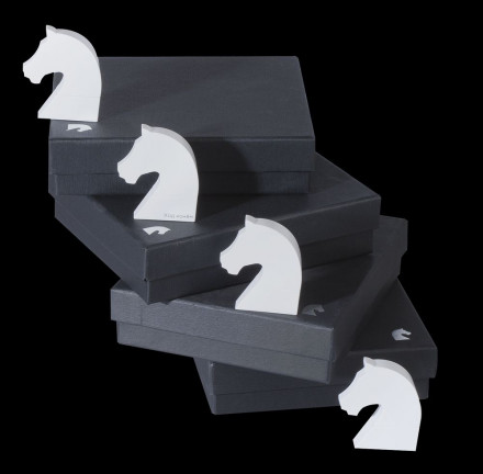 Флешка «Ход конем», белая, 8 Гб 1