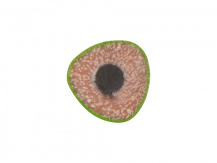 Трехгранный карандаш Conti из переработанных контейнеров, зеленый