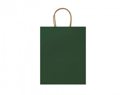 Бумажный пакет ARCE 110 г/м2, папоротник