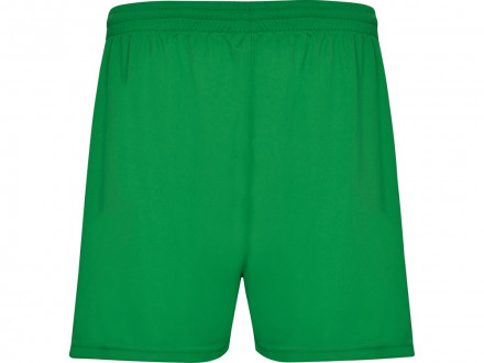 Спортивные шорты Calcio мужские, папоротниковый