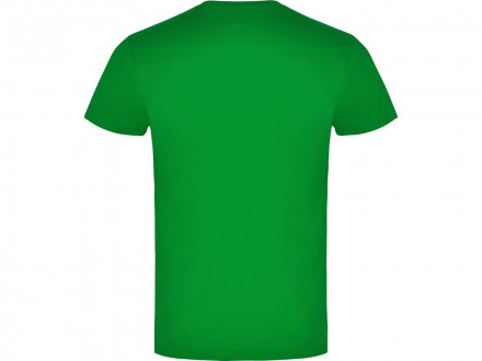 Футболка Braco мужская, травянисто - зеленый