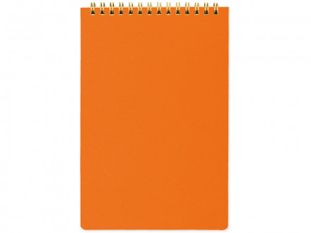 Блокнот А5 на гребне Pragmatic 60 листов в линейку, оранжевый