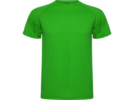 Спортивная футболка Montecarlo мужская, папоротниковый