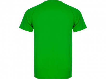 Спортивная футболка Montecarlo мужская, папоротниковый