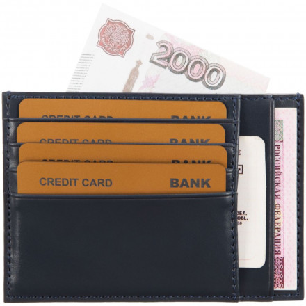 Чехол для карт и автодокументов Albert, синий