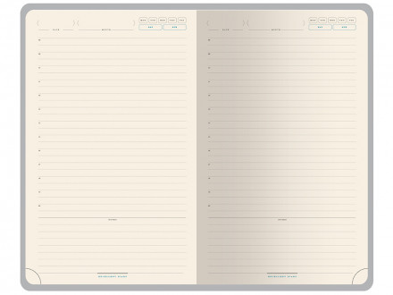 Ежедневник недатированный А5 Premier, серый