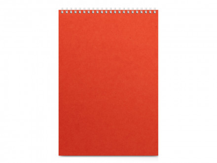 Бизнес - блокнот А4 (198 х 285 мм) Office 60 л., оранжевый