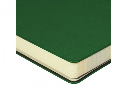 Ежедневник недатированный А5 Megapolis flex smart, зеленый