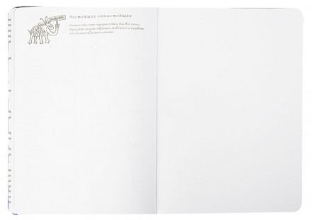 Ежедневник Labyrinth, недатированный, синий