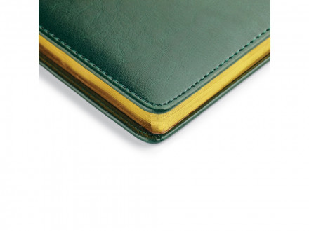 Ежедневник недатированный А4 Sidney Nebraska, зеленый (золотой обрез)