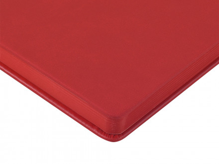 Ежедневник недатированный А6+ Megapolis Color, красный