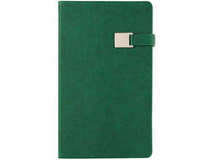 Ежедневник недатированный А5 Premier, зеленый
