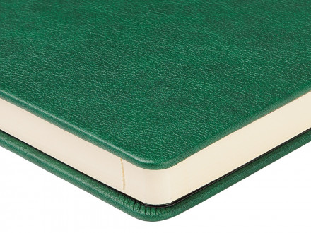 Ежедневник недатированный А5 Premier, зеленый
