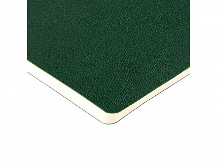 Бизнес-тетрадь А5 Megapolis Loft Flex 60 л., линейка, зеленый