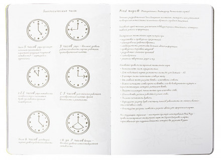 Ежедневник Labyrinth, недатированный, зеленый