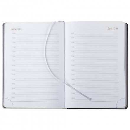 Ежедневник «Футболисты»