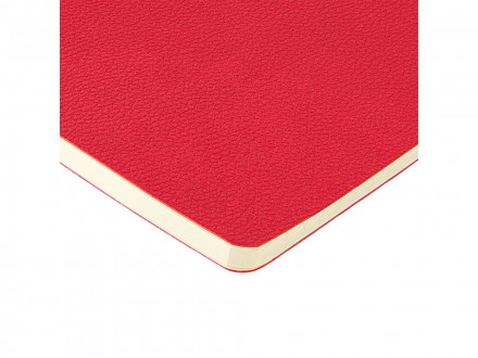 Бизнес-тетрадь А5 Megapolis Loft Flex 60 л., линейка, красный