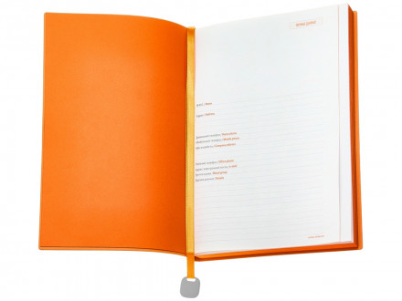 Ежедневник А5 недатированный Mercury, черный