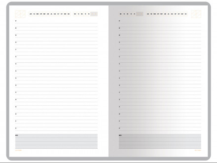 Ежедневник А5 недатированный Mercury, черный