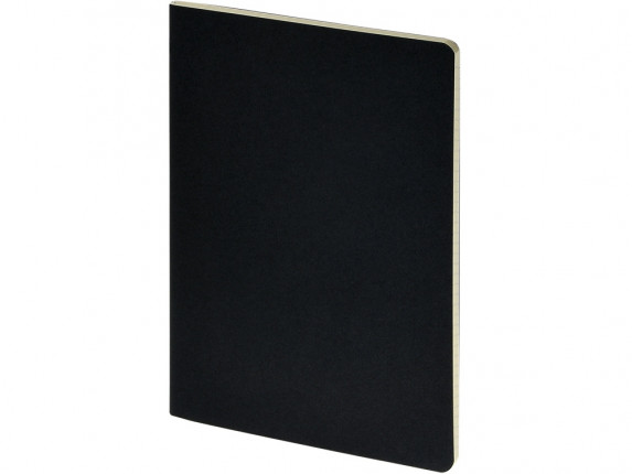 Бизнес тетрадь А5 Pragmatic, 40 листов в клетку, черный