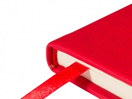 Ежедневник недатированный А5 Megapolis Velvet New, красный