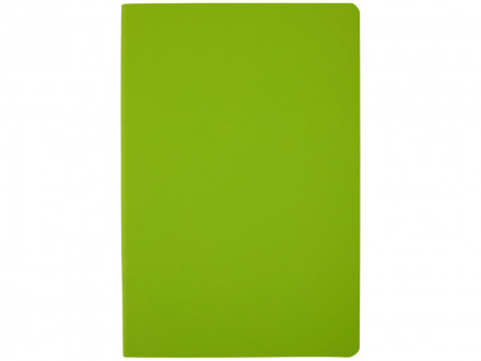 Ежедневник недатированный А5 Megapolis Color Flex New, салатовый