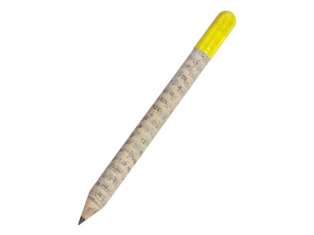 Растущий карандаш mini Magicme (1шт) - Акация Серебристая