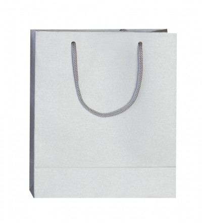 Пакет бумажный «Блеск», малый, серебристый