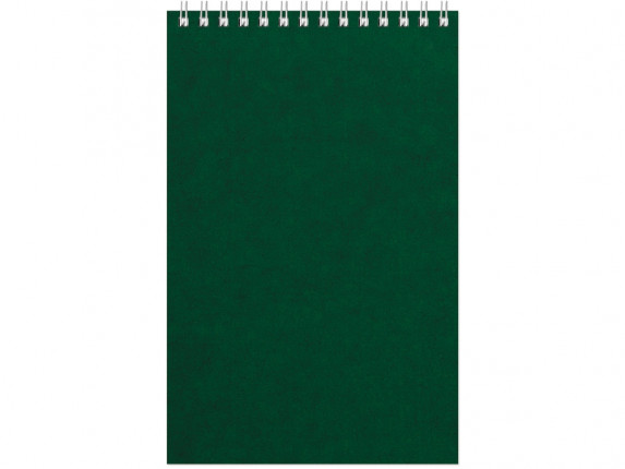 Бизнес - блокнот Альт А5 (127 х 198 мм) Office 60 л., зеленый