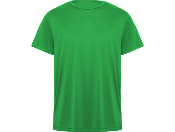 Футболка Daytona мужская, папоротниковый