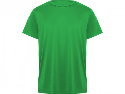 Футболка Daytona мужская, папоротниковый