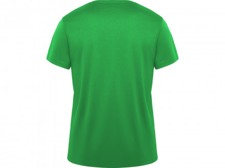 Футболка Daytona мужская, папоротниковый