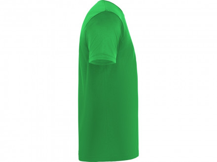 Футболка Daytona мужская, папоротниковый