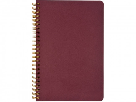 Бизнес тетрадь на гребне А5 Pragmatic, 60 листов в клетку, бордовый