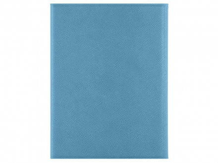 Обложка на магнитах для автодокументов и паспорта Favor, голубая