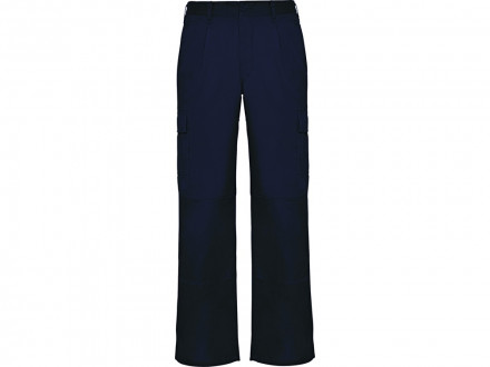 Брюки Daily, нэйви