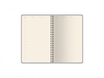 Ежедневник недатированный А5 Alba, зеленый