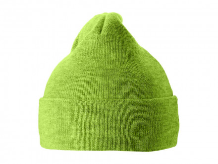 Шапка Irwin, зеленое яблоко