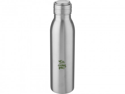 Бутылка для воды Harper из нержавеющей стали, с металлической петлей, 700 мл - Серебристый